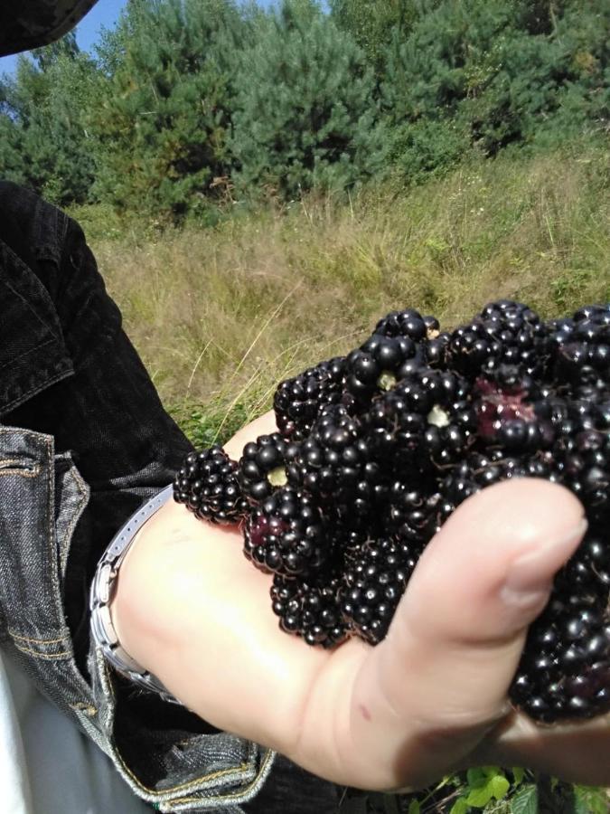 Yasna Sadyba Yasenitsa Zamkova Εξωτερικό φωτογραφία